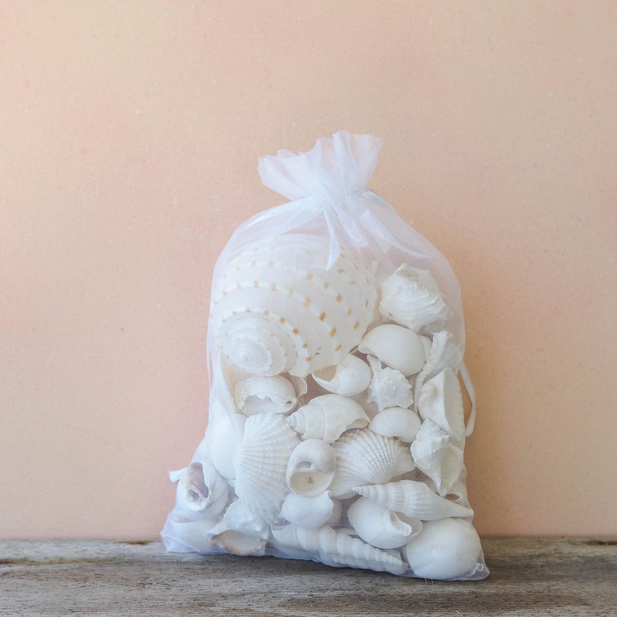 Premium Seashell Organza Gift Bag - White Whisper – Peek A Blue